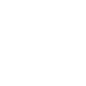 US army logo image