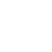 USM corps logo image